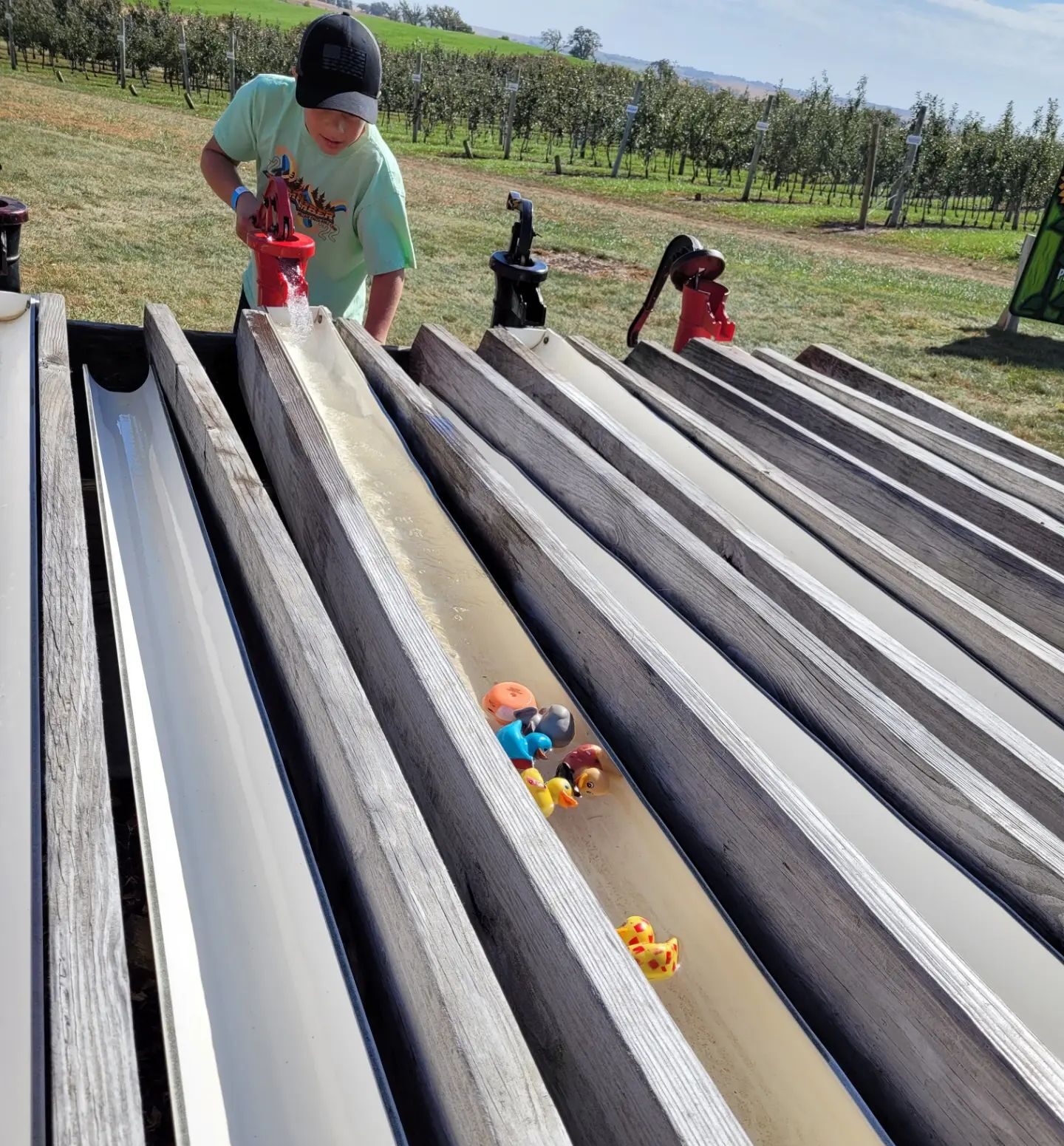 Little Boy playing Duck Race