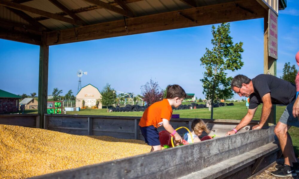 Kids playing in Corn Box at Pinter's Pumpkin Patch