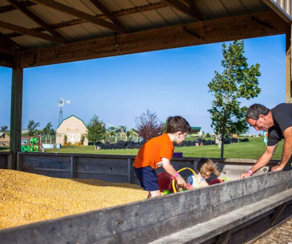 Kids playing in Corn Box at Pinter's Pumpkin Patch