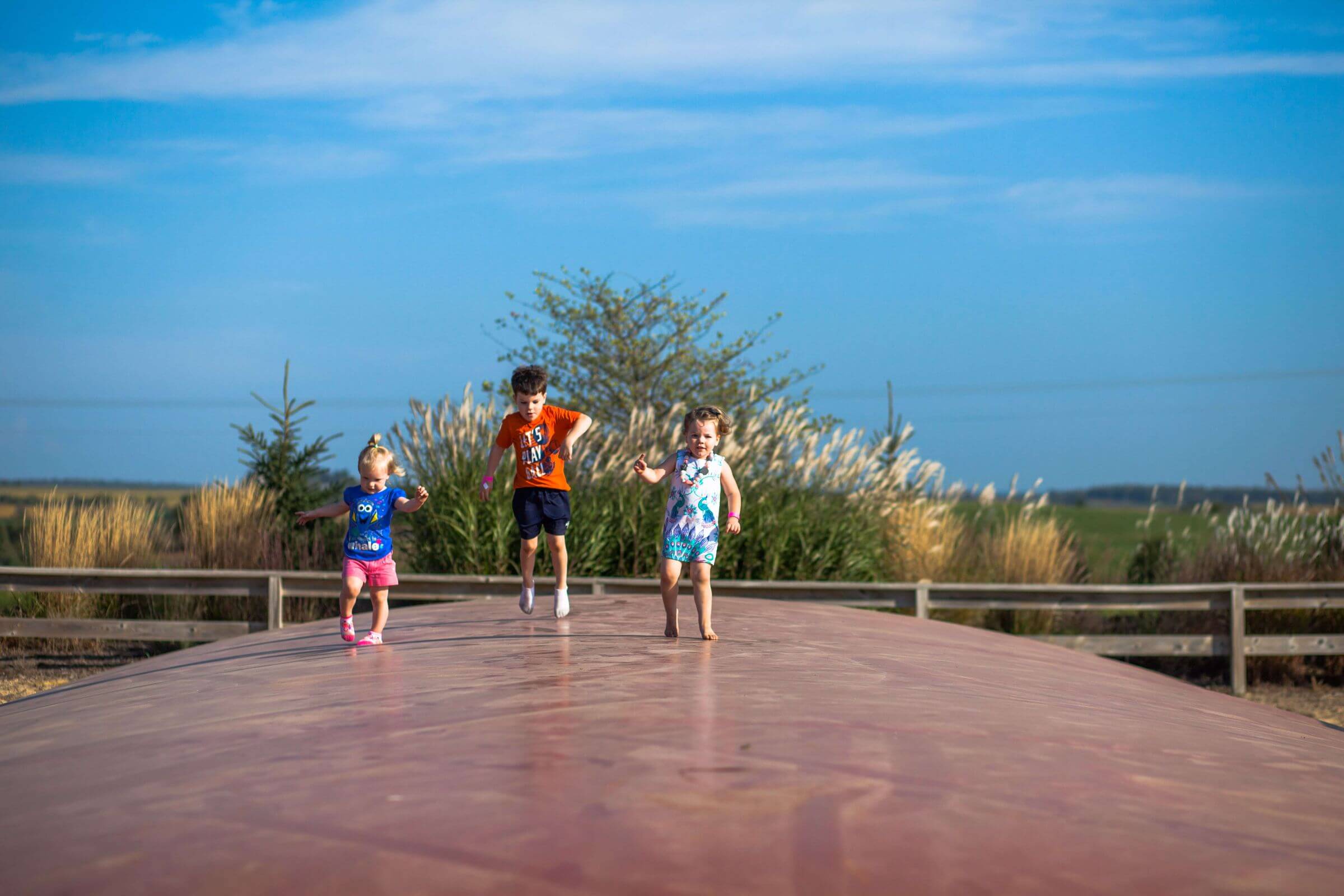 Kids on Jumping Pillow