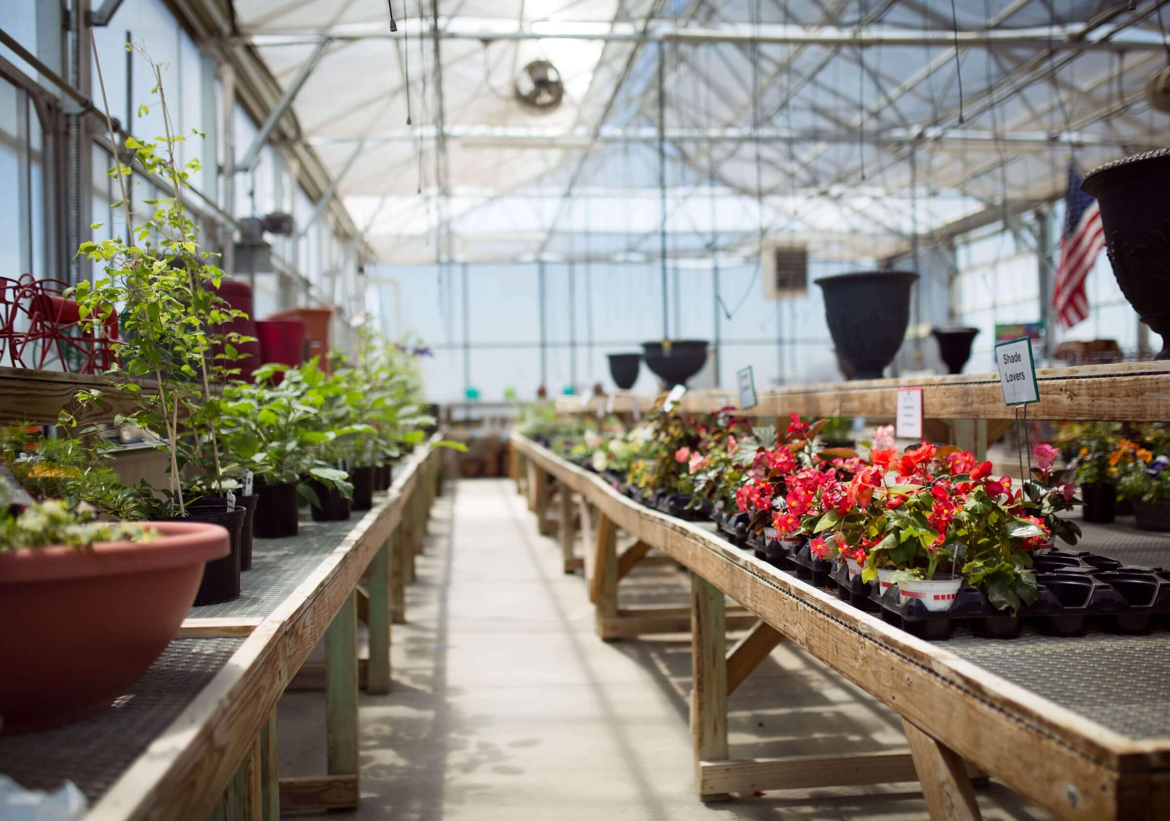 Aisles at Pinter's Garden Center