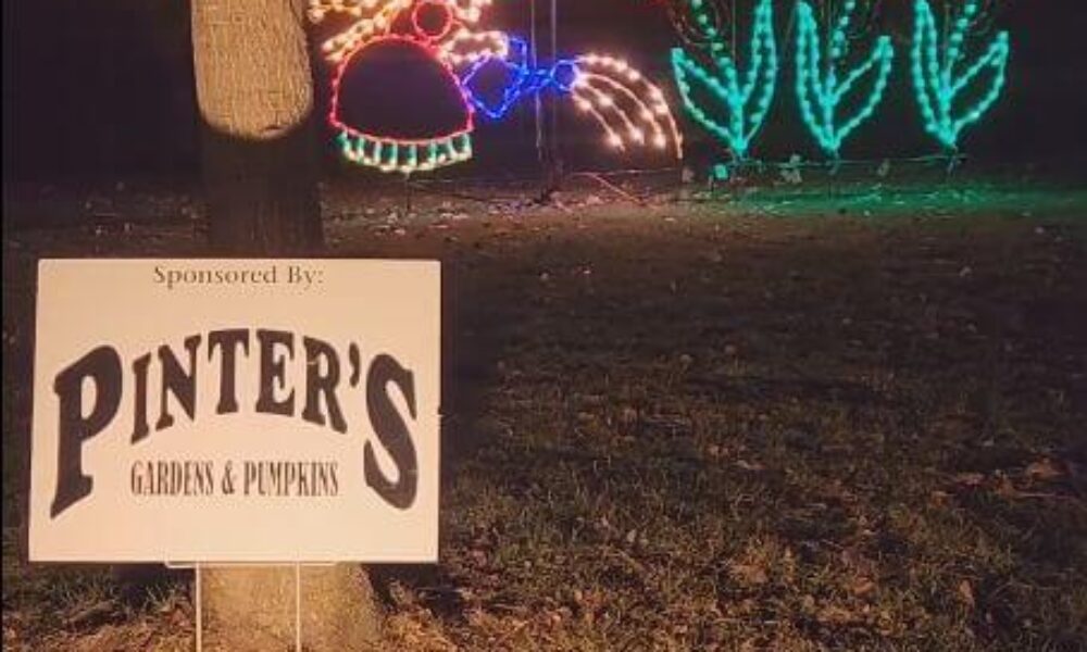 Pinter's Gardens & Pumpkin's lighted display at Holiday Lights 2023